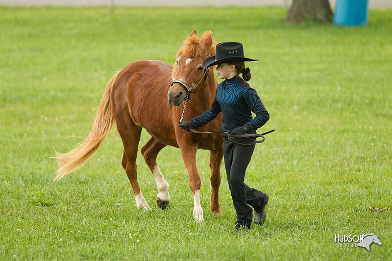 4H-1st-Show-11_0953.jpg