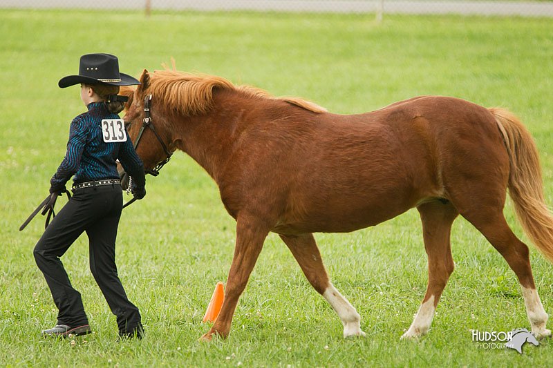 4H-1st-Show-11_0954.jpg