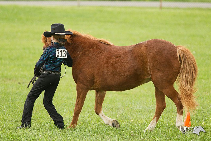 4H-1st-Show-11_0955.jpg