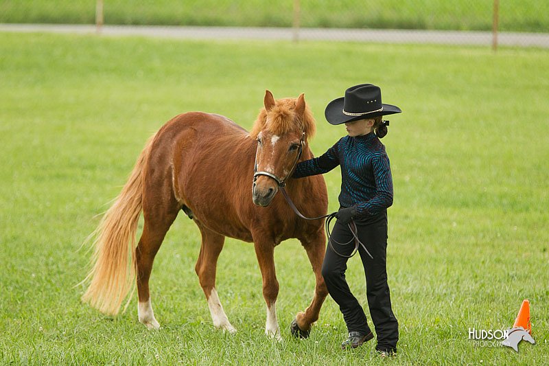 4H-1st-Show-11_0956.jpg