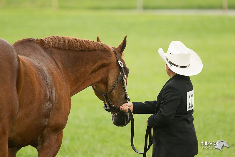 4H-1st-Show-11_0958.jpg