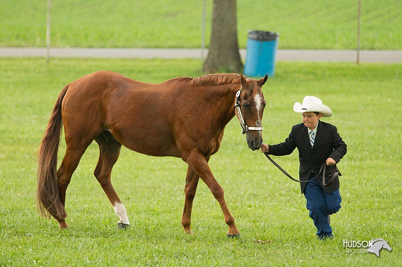 4H-1st-Show-11_0961.jpg