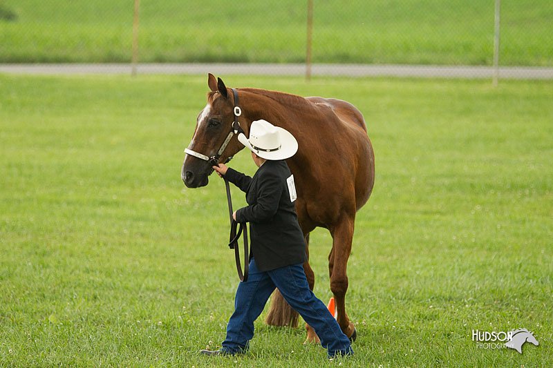 4H-1st-Show-11_0964.jpg