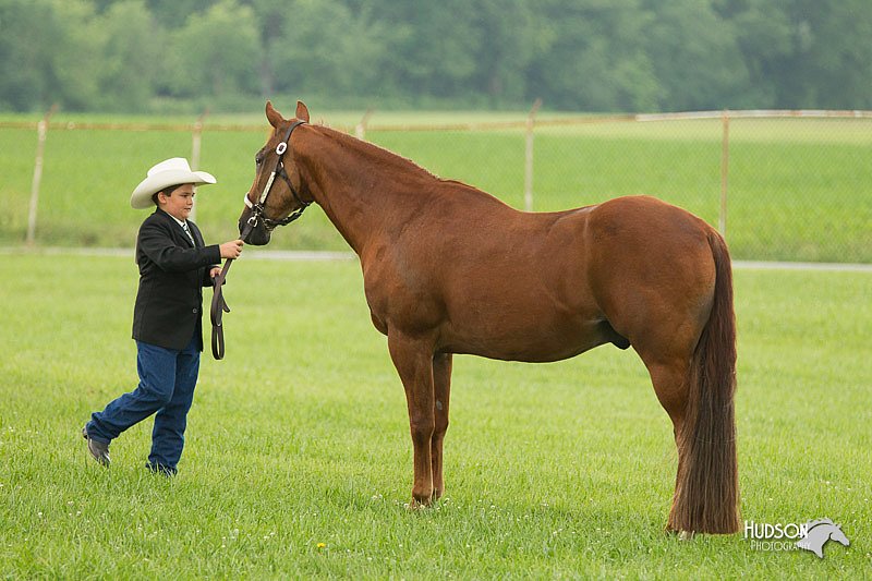 4H-1st-Show-11_0965.jpg