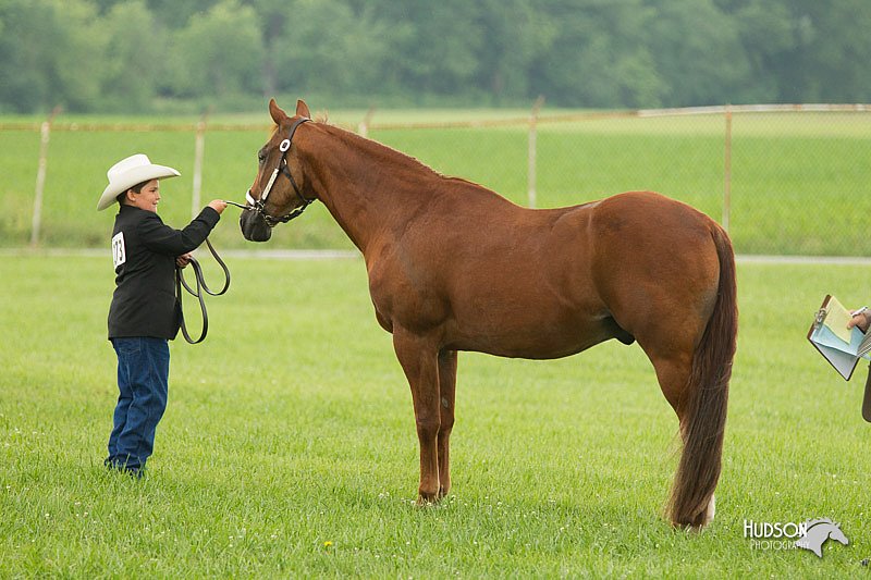4H-1st-Show-11_0966.jpg
