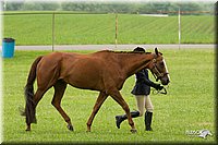 4H-1st-Show-11_0691.jpg