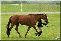 4H-1st-Show-11_0692.jpg