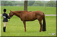 4H-1st-Show-11_0696.jpg