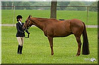 4H-1st-Show-11_0697.jpg