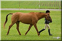 4H-1st-Show-11_0698.jpg