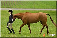 4H-1st-Show-11_0699.jpg