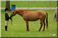 4H-1st-Show-11_0701.jpg