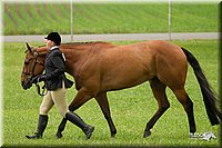 4H-1st-Show-11_0703.jpg