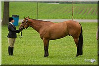 4H-1st-Show-11_0706.jpg