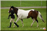 4H-1st-Show-11_0707.jpg