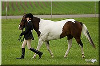 4H-1st-Show-11_0708.jpg