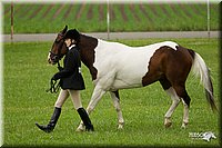 4H-1st-Show-11_0709.jpg