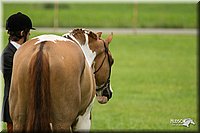 4H-1st-Show-11_0717.jpg