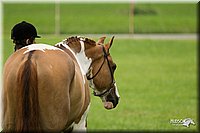 4H-1st-Show-11_0719.jpg