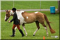 4H-1st-Show-11_0720.jpg