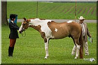 4H-1st-Show-11_0724.jpg