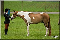 4H-1st-Show-11_0725.jpg