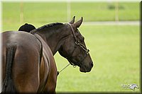 4H-1st-Show-11_0726.jpg
