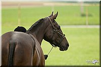 4H-1st-Show-11_0727.jpg