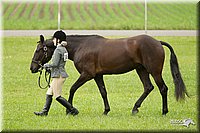 4H-1st-Show-11_0729.jpg