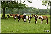 4H-1st-Show-11_0732.jpg