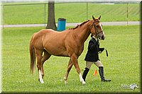 4H-1st-Show-11_0735.jpg