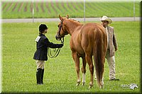 4H-1st-Show-11_0736.jpg