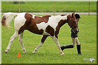 4H-1st-Show-11_0737.jpg