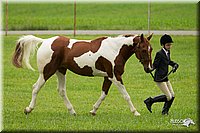 4H-1st-Show-11_0738.jpg