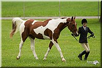 4H-1st-Show-11_0739.jpg
