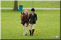 4H-1st-Show-11_0740.jpg