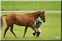 4H-1st-Show-11_0742.jpg