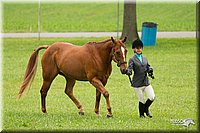 4H-1st-Show-11_0744.jpg