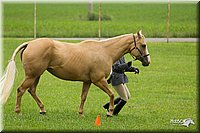 4H-1st-Show-11_0747.jpg
