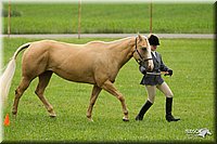 4H-1st-Show-11_0748.jpg