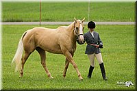 4H-1st-Show-11_0749.jpg