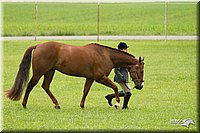4H-1st-Show-11_0752.jpg