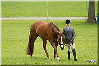 4H-1st-Show-11_0753.jpg
