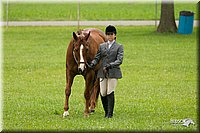 4H-1st-Show-11_0754.jpg