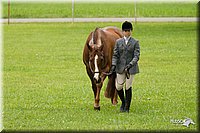 4H-1st-Show-11_0756.jpg
