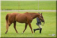 4H-1st-Show-11_0759.jpg