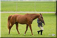 4H-1st-Show-11_0760.jpg