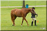 4H-1st-Show-11_0762.jpg