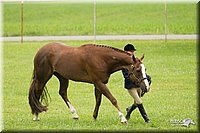 4H-1st-Show-11_0764.jpg