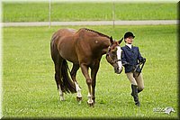 4H-1st-Show-11_0765.jpg